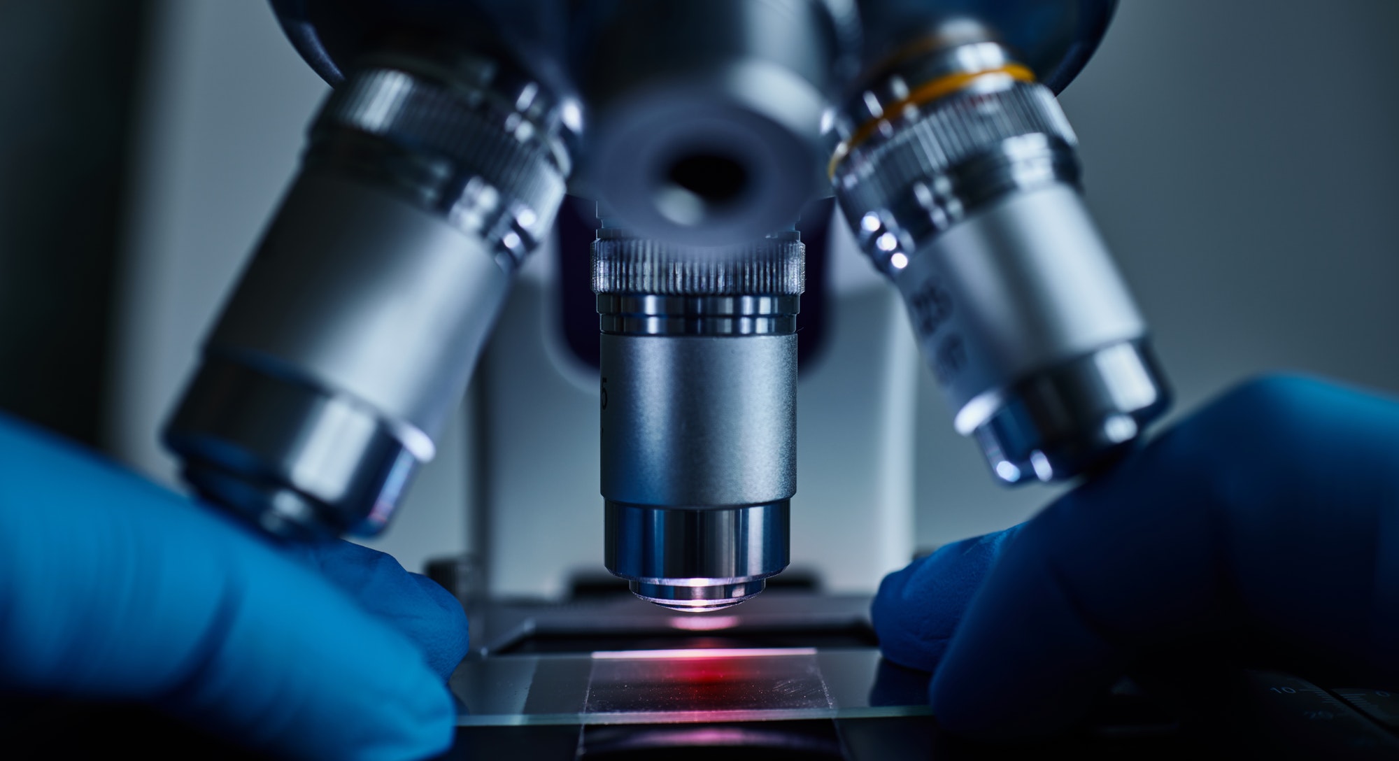 Scientist hands with microscope