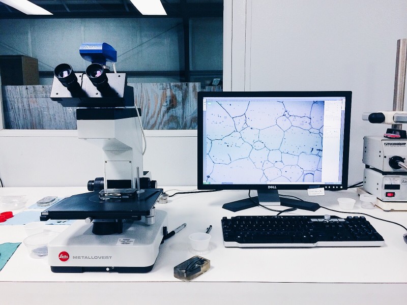 Certificate of Analysis – TerpLife Labs